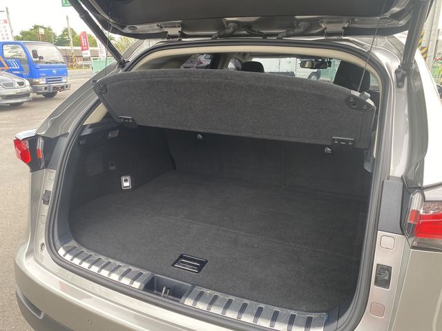 LEXUS凌志 NX200T  第15張相片