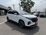 HYUNDAI現代 CUSTIN  第19張縮圖