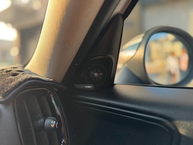 MINI迷你 COUNTRYMAN S  第16張相片