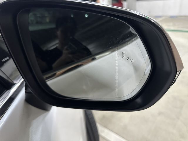 LEXUS凌志 NX300  第12張相片