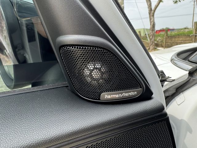 COUNTRYMAN  第15張相片