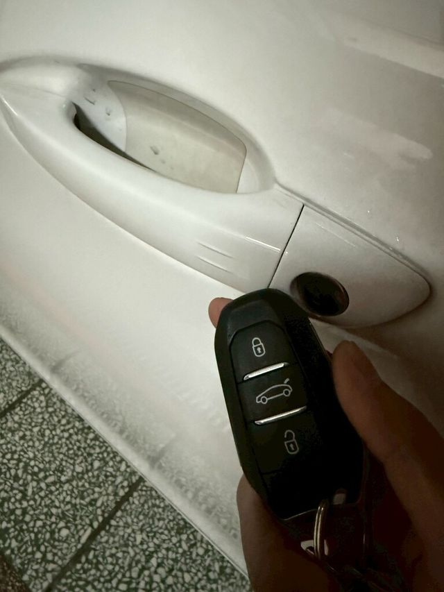 PEUGEOT寶獅 308  第12張相片