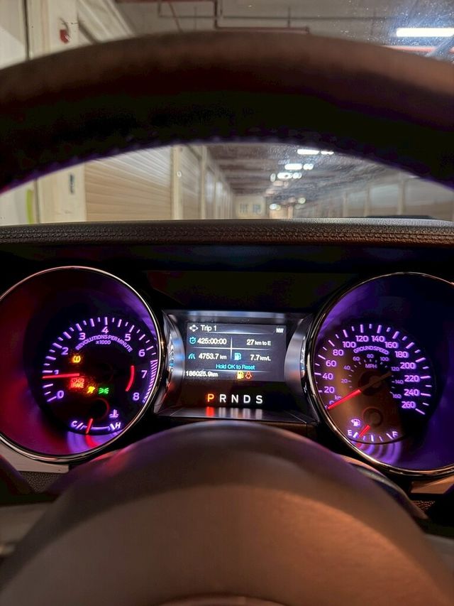 FORD福特 MUSTANG  第11張相片