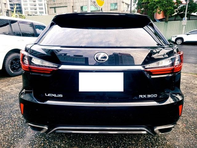 LEXUS凌志 RX300  第7張相片