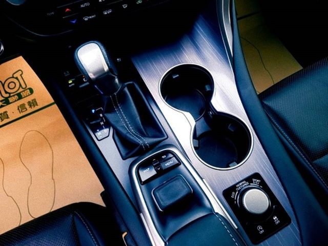 LEXUS凌志 RX300  第31張相片