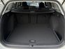 VOLKSWAGEN福斯 GOLF VARIANT  第10張縮圖