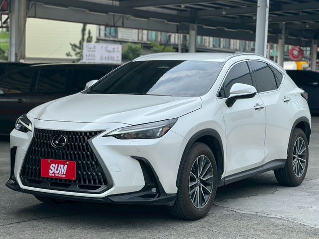 一手好車NX200 豪華版+升級精裝特仕｜出廠資料齊全 車況來源透明｜【雙前電動椅】【分區溫控】【腳踢尾門】  第1張相片