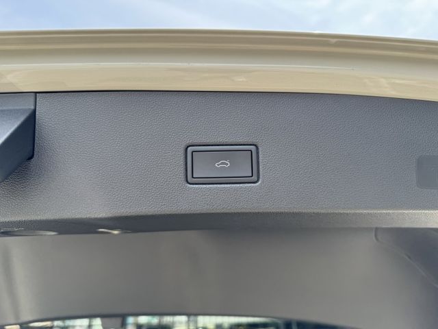 T-ROC  第14張相片