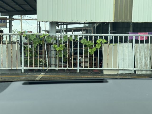 ALTIS  第14張相片
