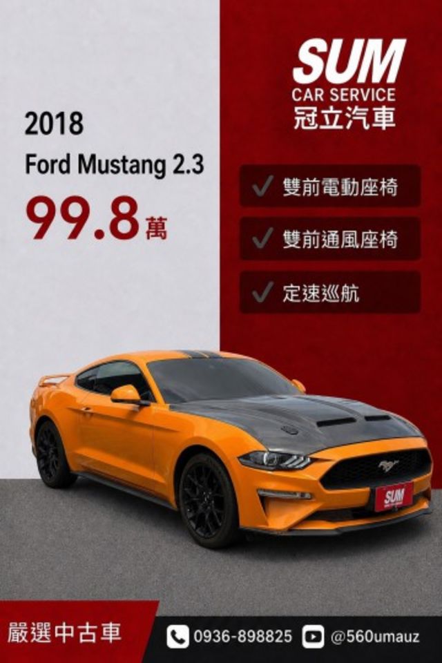 MUSTANG  第1張相片