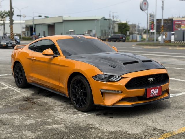 MUSTANG  第6張相片
