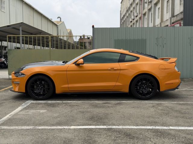 MUSTANG  第8張相片