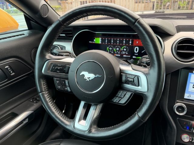 MUSTANG  第10張相片