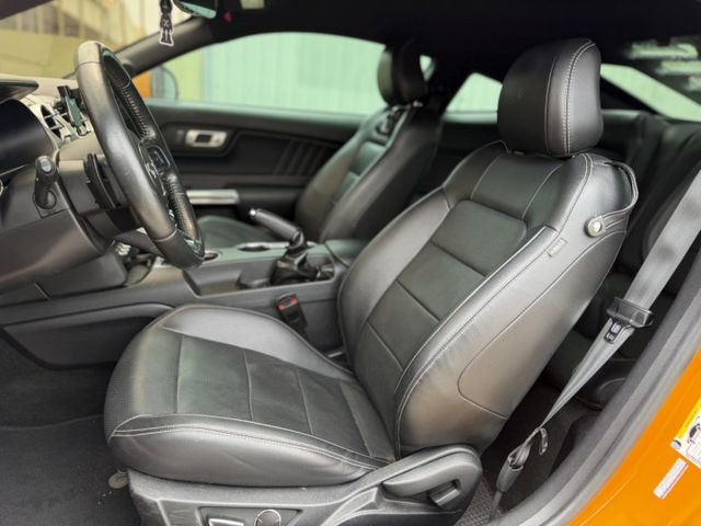 MUSTANG  第11張相片