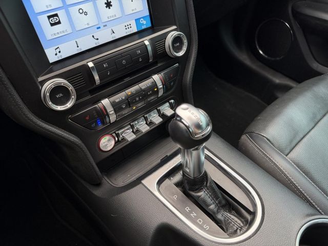 MUSTANG  第13張相片