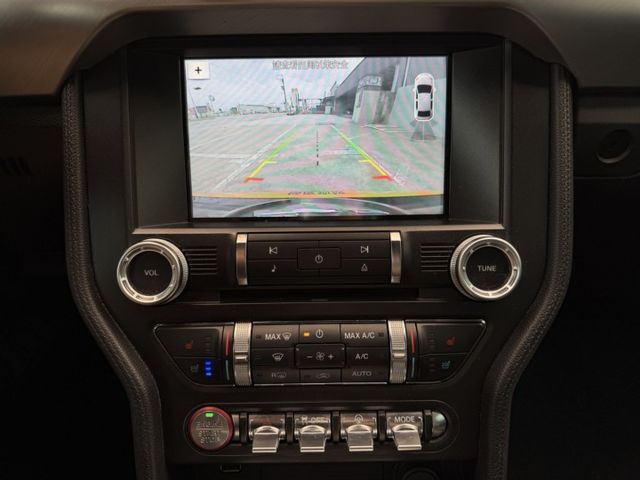 MUSTANG  第14張相片