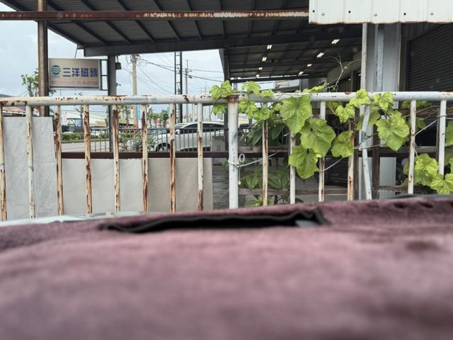 RX  第17張相片