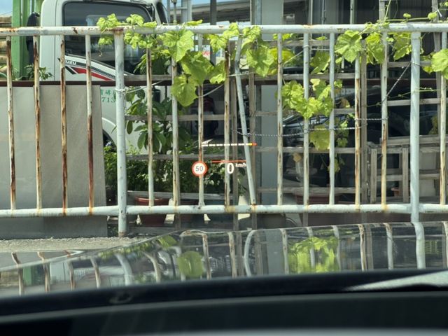 4WD 油電車 / 車換車 / 強力過件  第16張相片