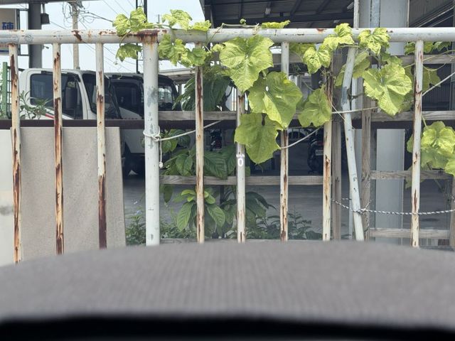 在店 / 車況優 / 認證保固  第16張相片