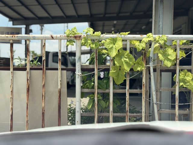 在店 / RS 天窗 / 車況優 / 認證保固  第17張相片