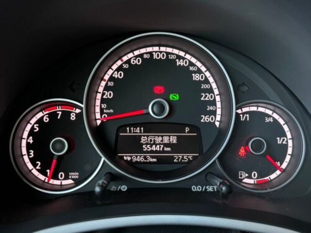 VOLKSWAGEN福斯 BEETLE  第6張相片
