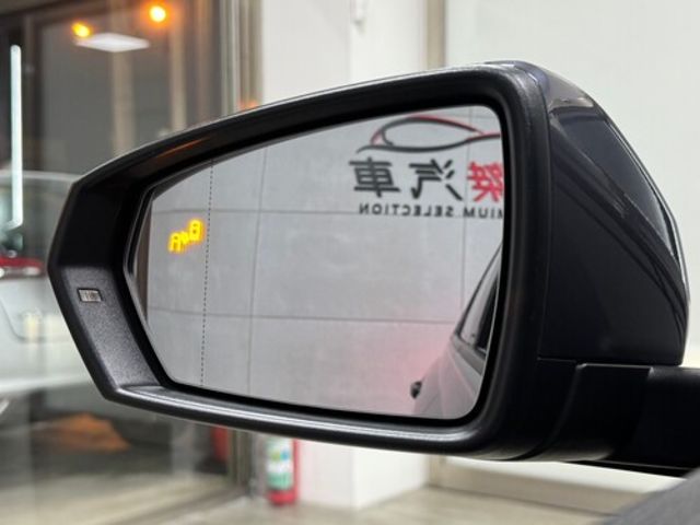 VOLKSWAGEN福斯 POLO  第18張相片