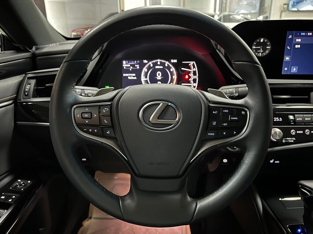 LEXUS凌志 ES200  第13張相片