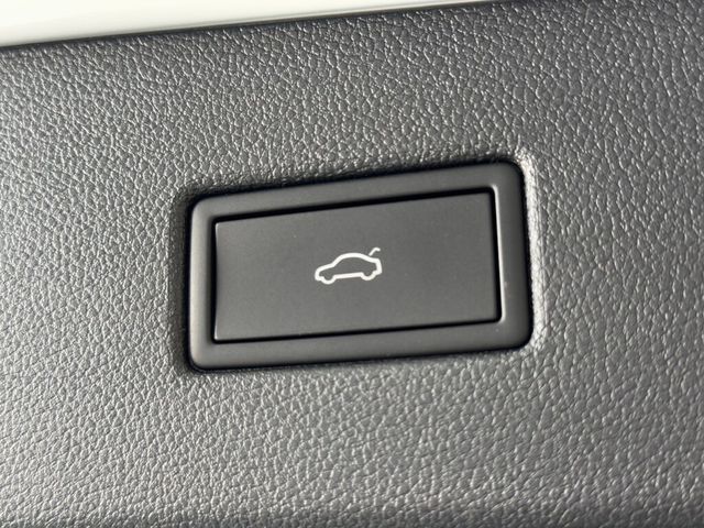 VOLKSWAGEN福斯 TIGUAN  第19張相片