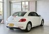 VOLKSWAGEN福斯 BEETLE  第2張縮圖