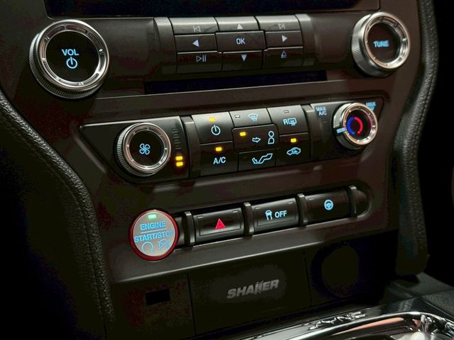 FORD福特 MUSTANG  第10張相片