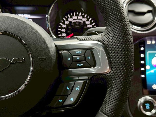 FORD福特 MUSTANG  第13張相片
