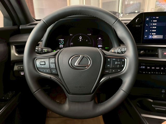 LEXUS凌志 UX300H  第11張相片