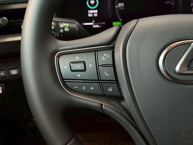 LEXUS凌志 UX300H  第12張相片
