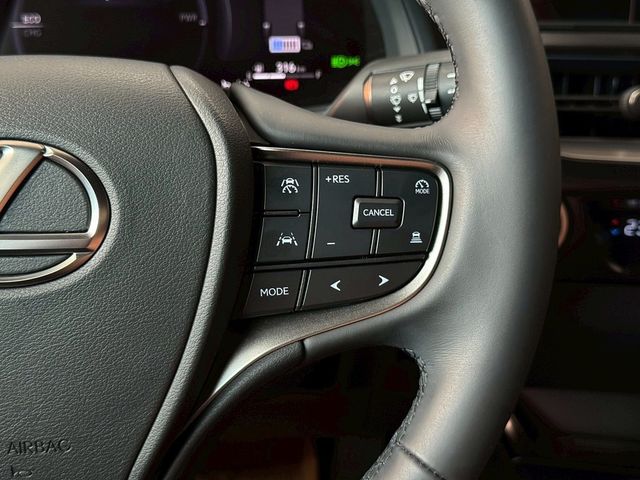 LEXUS凌志 UX300H  第13張相片