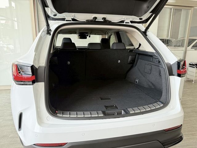 LEXUS凌志 NX200  第18張相片