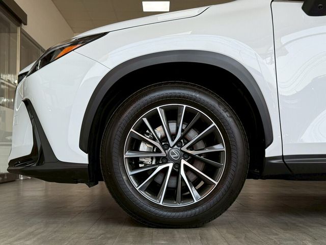 LEXUS凌志 NX200  第19張相片