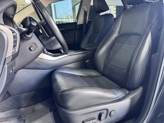 LEXUS凌志 NX300  第6張相片