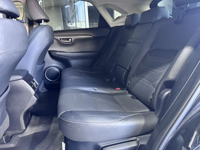 LEXUS凌志 NX300  第7張相片