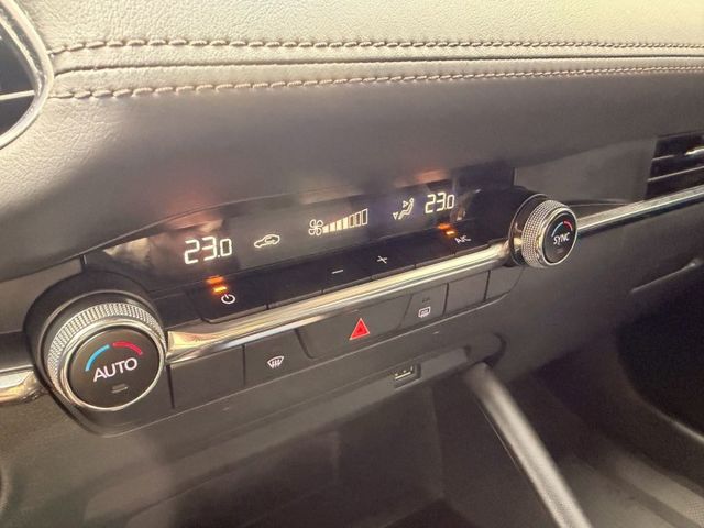Bose 12之音響  ACC跟車系統 盲點偵測 方向盤輔助 電子手剎車 360環景 雙區恆溫  第9張相片