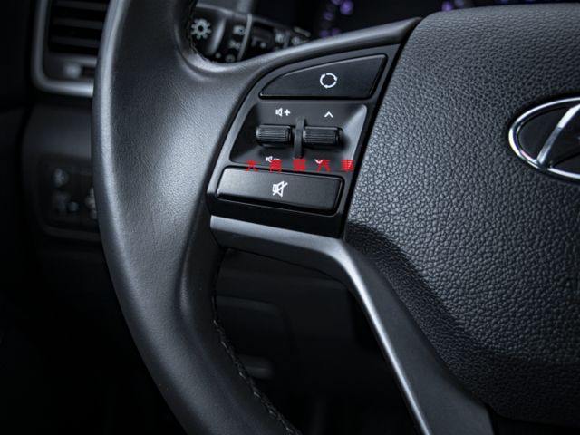 【預約賞車即享網路優惠價】2.0L 汽油豪華 原鈑件 前後霧燈 車頂行李架 方向盤快控鍵 電折後視鏡 循跡防滑  第13張相片