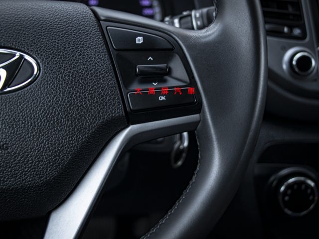 【預約賞車即享網路優惠價】2.0L 汽油豪華 原鈑件 前後霧燈 車頂行李架 方向盤快控鍵 電折後視鏡 循跡防滑  第14張相片