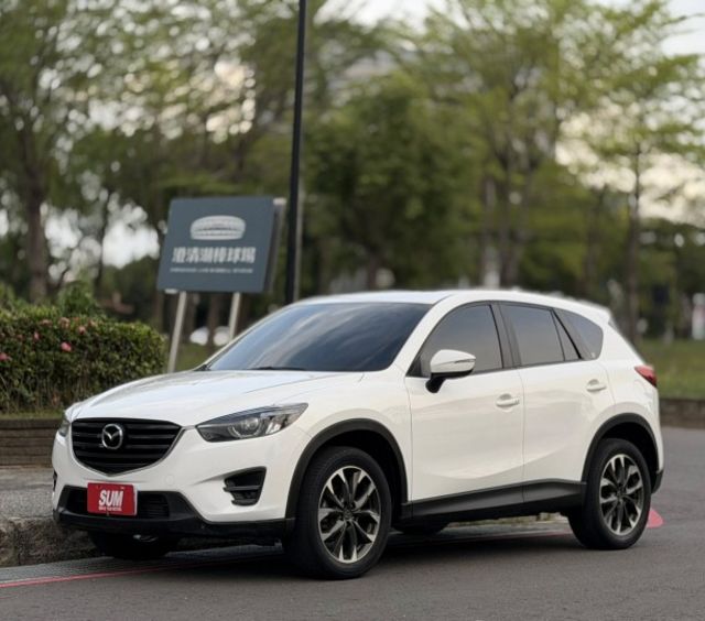 4輪傳動 / 僅跑9萬 / 原廠保養 / 配備好  第1張相片