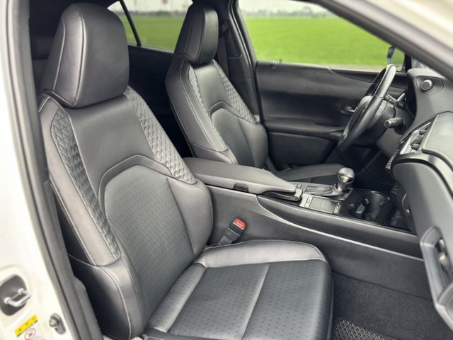 Lexus UX250h 豪華油電休旅｜都會質感首選  第11張相片