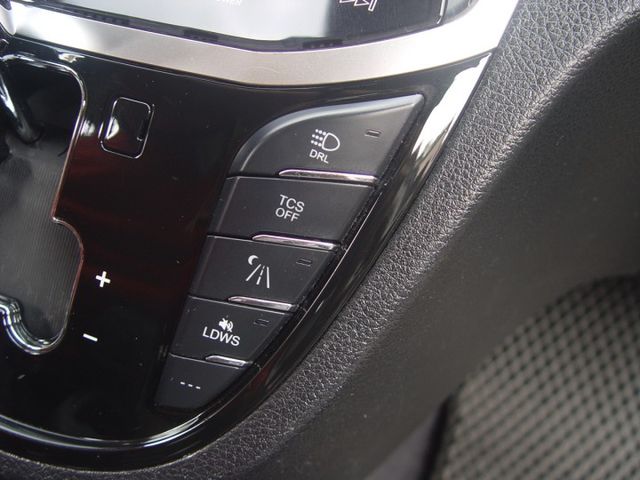 頂級版.4安.電動椅.全車環景.定速系統.恆溫空調.I-KEY.電動天窗.循跡防滑.HID頭燈.超值國產豪華MPV  第13張相片