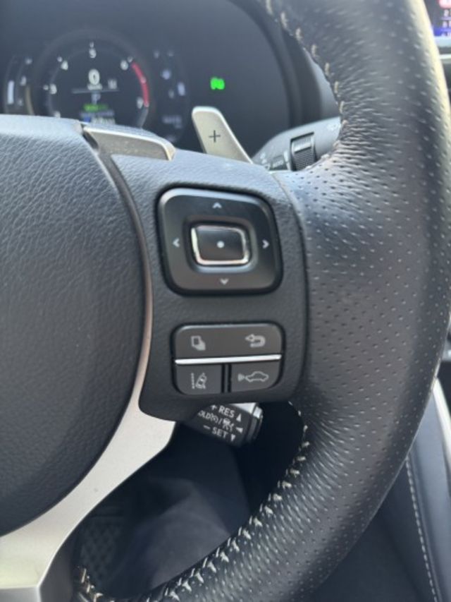 2019年式 F Sport版 一手車 原鈑件 定期保養 里程保證 有IKEY 盲點 電動記憶座椅  第16張相片