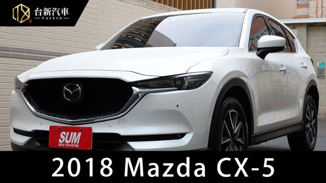 環景旗艦版 原鈑件 定期保養 里程保證 有ACC IKEY 電動座椅  第1張相片