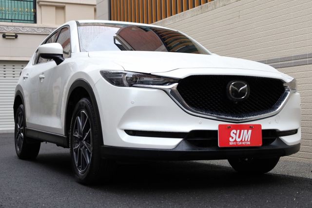 環景旗艦版 原鈑件 定期保養 里程保證 有ACC IKEY 電動座椅  第3張相片