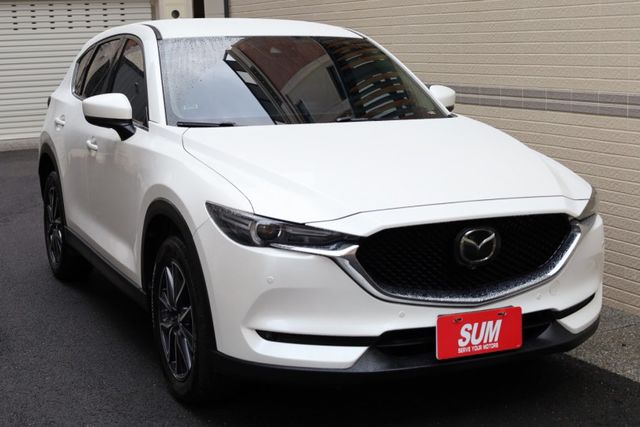 環景旗艦版 原鈑件 定期保養 里程保證 有ACC IKEY 電動座椅  第4張相片