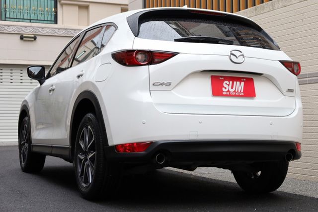 環景旗艦版 原鈑件 定期保養 里程保證 有ACC IKEY 電動座椅  第5張相片