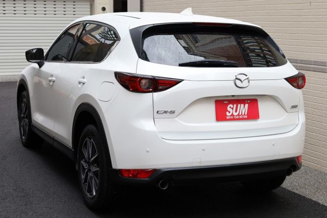 環景旗艦版 原鈑件 定期保養 里程保證 有ACC IKEY 電動座椅  第6張相片